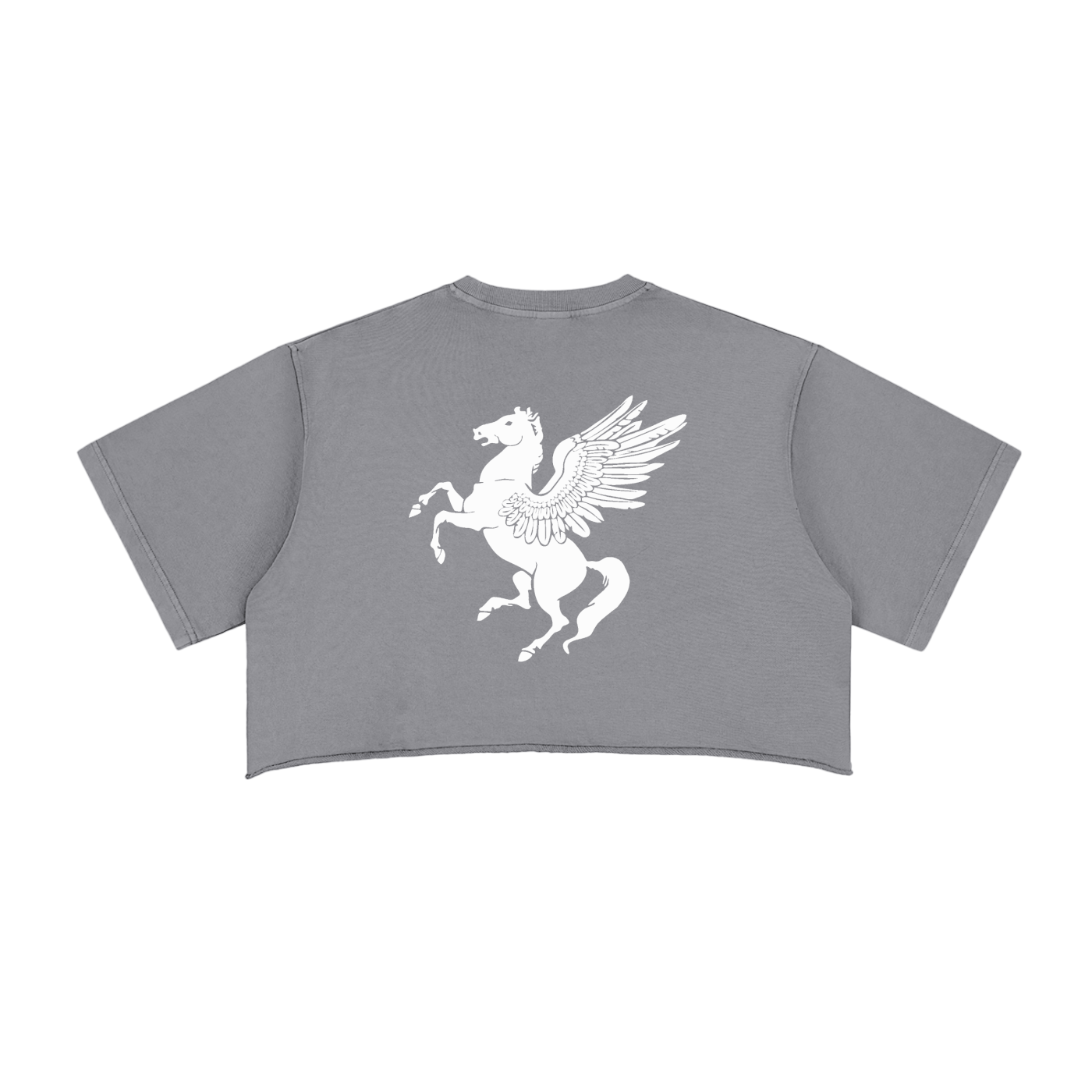 GAFAUDI Girl Snow Washed Raw Edge Crop Top