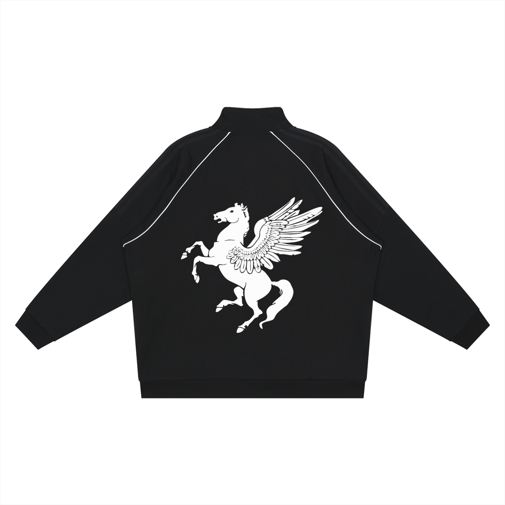 GAFAUDI Reflection Striped Raglan Sleeve  Jacket