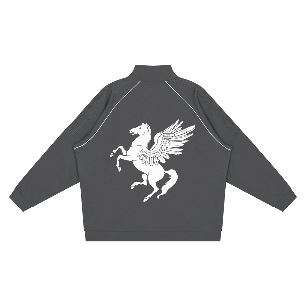 GAFAUDI Reflection Striped Raglan Sleeve  Jacket