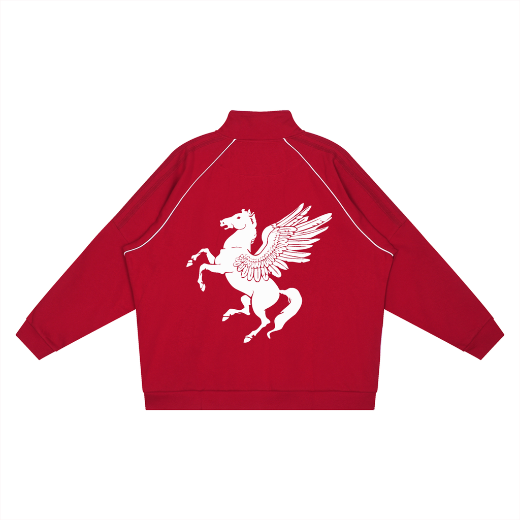 GAFAUDI Reflection Striped Raglan Sleeve  Jacket